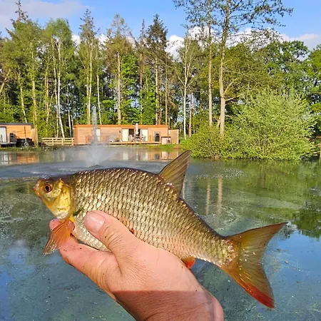 Rowan Boutique For Couples With A Dog *