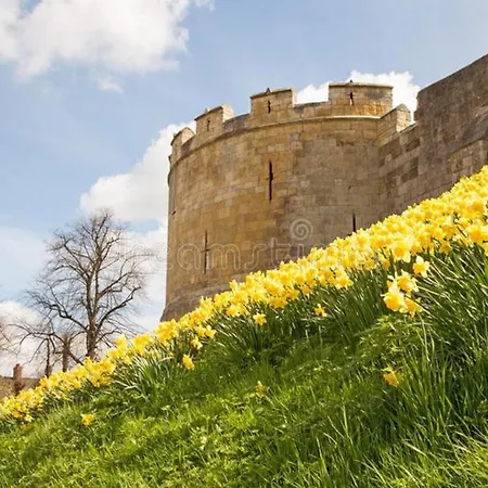 Rowan Boutique For Couples With A Dog *