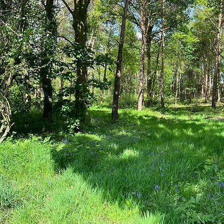 Rowan Boutique For Couples With A Dog بيت للعطل *