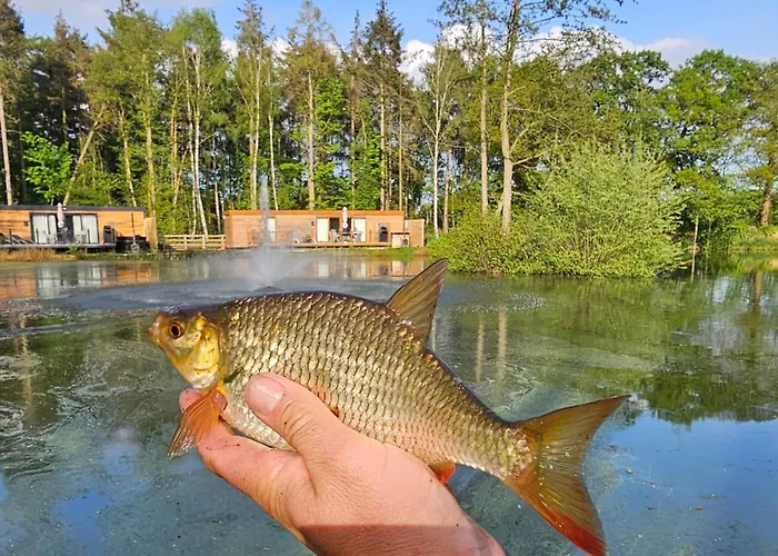 Rowan Boutique For Couples With A Dog *