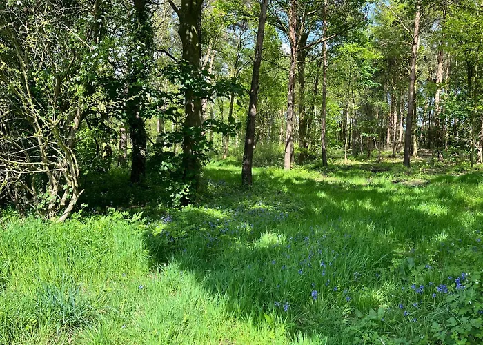 Rowan Boutique For Couples With A Dog Дом отдыха *