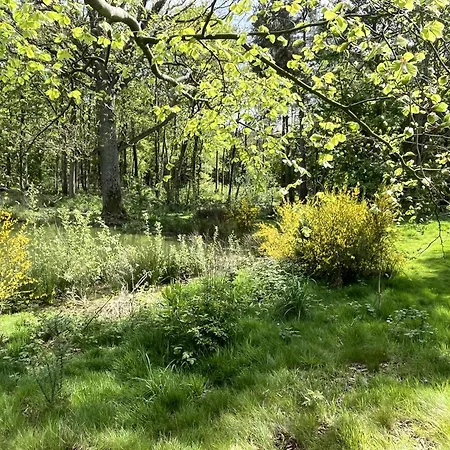 Rowan Boutique For Couples With A Dog 別荘 ヨーク